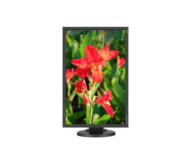 Nec MultiSync E245WMi czarny - 366148 - zdjęcie 4